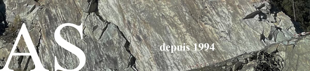 AS Asset Services SA, depuis 1994